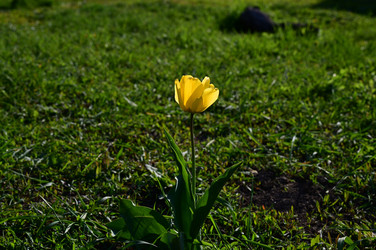 Similar image 22687764