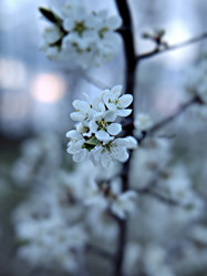 Similar image 22692311