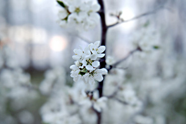 Similar image 22692331