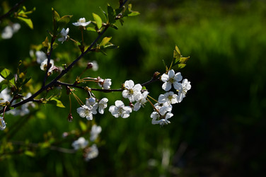 Similar image 22687766