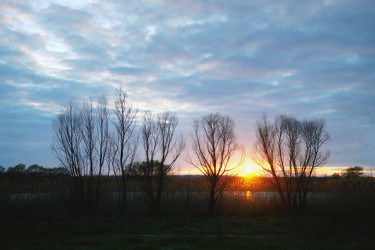 Similar image 22687768