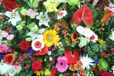 Similar image 22714102