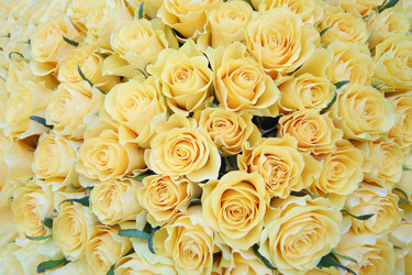 Similar image 22714657