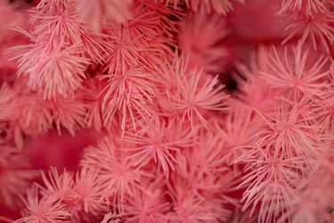 Similar image 22679155