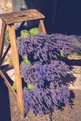 Similar image 22710019