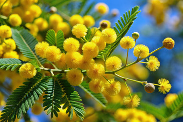 Similar image 22695767