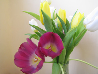 Similar image 22682297