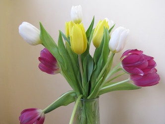 Similar image 22682298