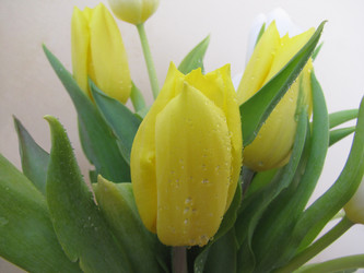 Similar image 22682299