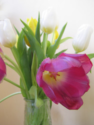 Similar image 22682301