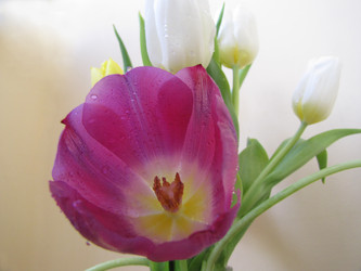 Similar image 22682302