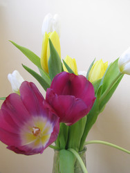 Similar image 22682304