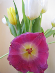 Similar image 22682306