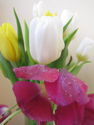 Similar image 22682286