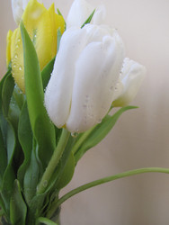 Similar image 22682287