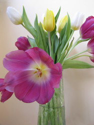 Similar image 22682288