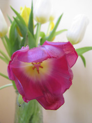 Similar image 22682292