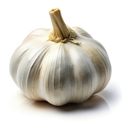 Similar image 22696712