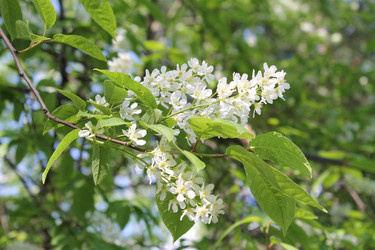 Similar image 22682346