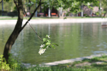 Similar image 22682347