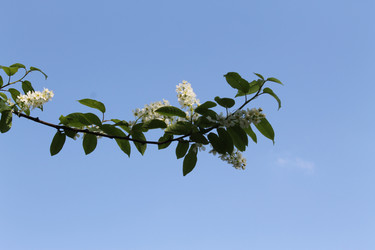 Similar image 22682348