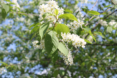 Similar image 22682357