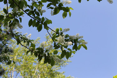 Similar image 22682358