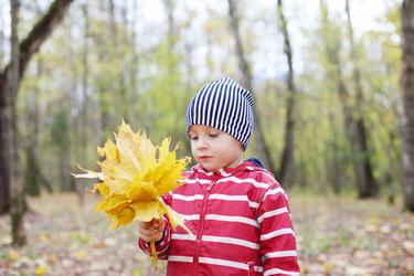Similar image 22715334