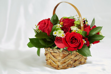 Similar image 22739097