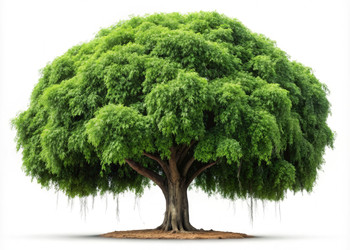 Similar image 22695743