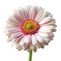 Similar image 22695267
