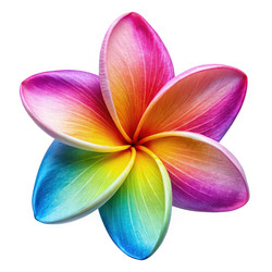 Similar image 22696300