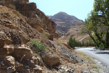 Similar image 22682388