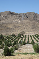 Similar image 22682390