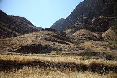 Similar image 22682410