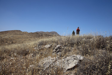 Similar image 22682415