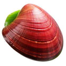 Similar image 22696214