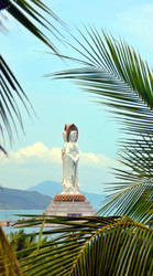 Similar image 22684423