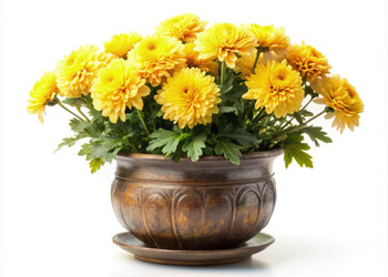 Similar image 22692552