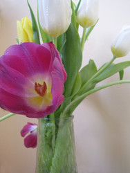 Similar image 22682293