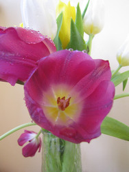 Similar image 22682294