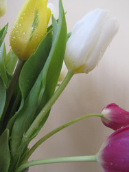 Similar image 22682295