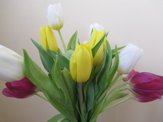 Similar image 22682296