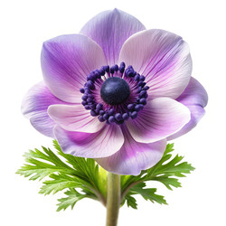 Similar image 22695900