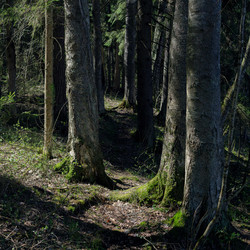 Similar image 22683481