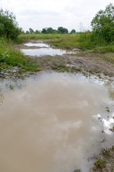 Similar image 22683483