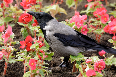 Similar image 22683586