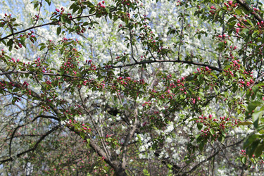 Similar image 22682365