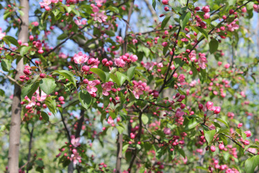 Similar image 22682382