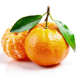 Similar image 22696499